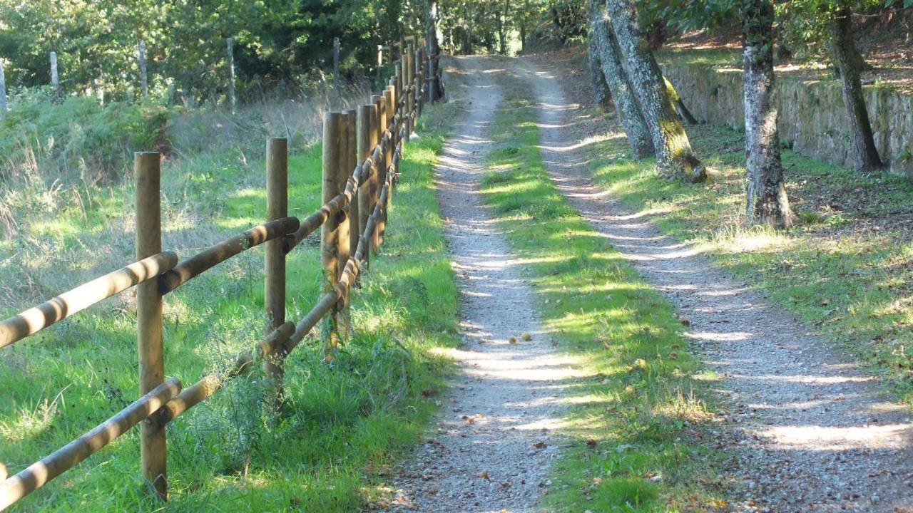 Quinta Do Caritel Villa Vouzela Eksteriør bilde